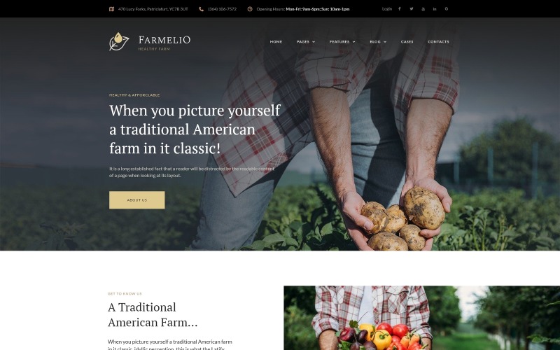 WordPress шаблон №67001 на тему фермы