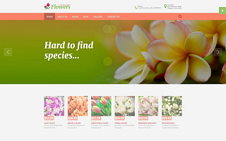 Адаптивный Joomla шаблон №62256 на тему цветочный магазин